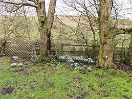 Petty Knowes Cottage