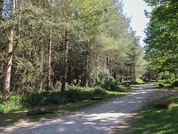 Sycamore Lodge