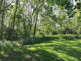 Cedar Lodge