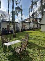 Roots Munnar