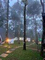 Roots Munnar