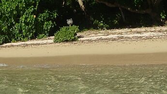 Mahina Lodge