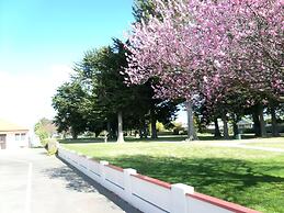 Napier Nest Motel