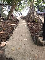 Dany Island