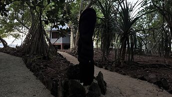 Dany Island