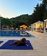 Olympos Talara
