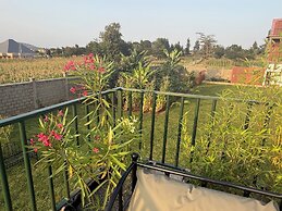 Moyoni Africa Lodge & Tours