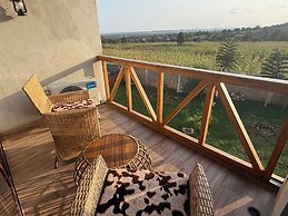 Moyoni Africa Lodge & Tours