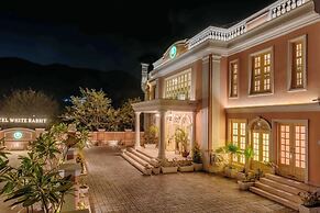 HOTEL WHITE RABBIT