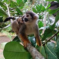 Hotel Alto Amazonas