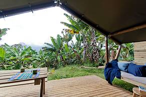 Glamping Jardín