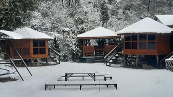 The Wild Planet - Treehouses & Cottages