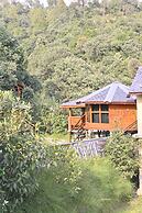 The Wild Planet - Treehouses & Cottages