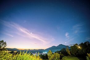 The Jungle Sunrise