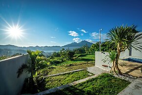 The Jungle Sunrise