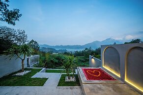 The Jungle Sunrise