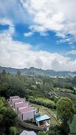 The Jungle Sunrise