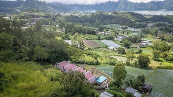 The Jungle Sunrise