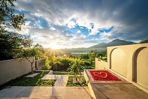 The Jungle Sunrise