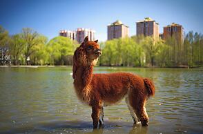 Zhi Resort Beijing