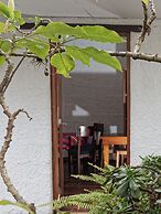 Apartamentos Otorongo