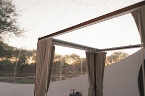 Campera Hotel Burbuja