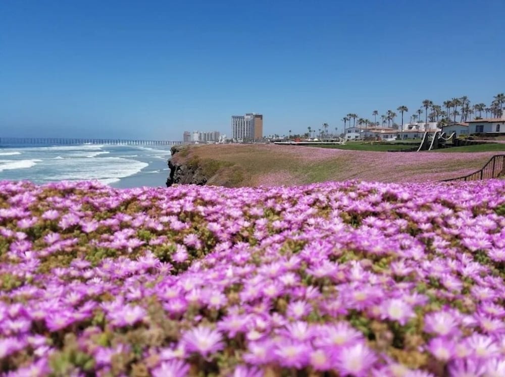 La Paloma Condos