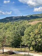 Agriturismo In Campagna