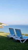 PALM BEACH ŞİLE