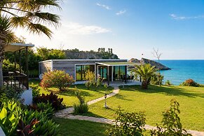 PALM BEACH ŞİLE
