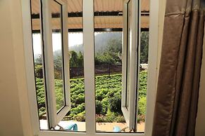 Wild and Free Farm Stay