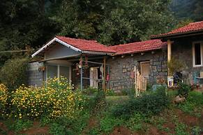 Wild and Free Farm Stay