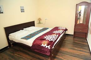 Wild and Free Farm Stay