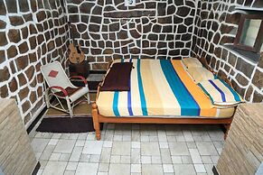 Wild and Free Farm Stay