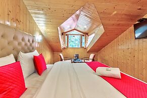 The mount Heaven Hotel  Vijayant