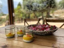 Harmony Home Wellness