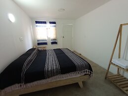 Iguana Co-living