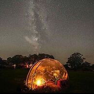 Dog Friendly Cozy Bell Tent With Log Burner