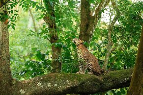 Coorg Wild Walk- CGH Earth Saha