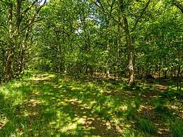 4 Star Holiday Home in Hampen