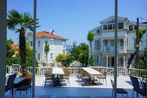 Palm Villa