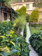 SUNA HOUSE