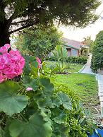 SUNA HOUSE