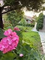 SUNA HOUSE