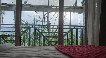 Holiday Courtyard