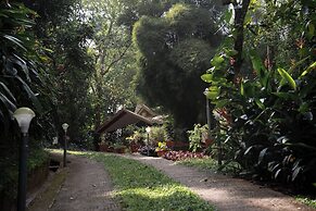 Holiday Courtyard