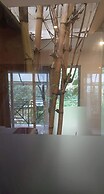 Holiday Courtyard
