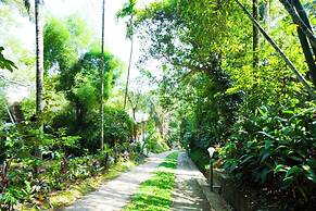 Holiday Courtyard