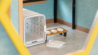 Hongcheon Lucky Dog Pension