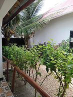 Fish 2 Nungwi House